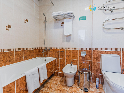 Санаторий «Долина Нарзанов» г. Кисловодск. Номера